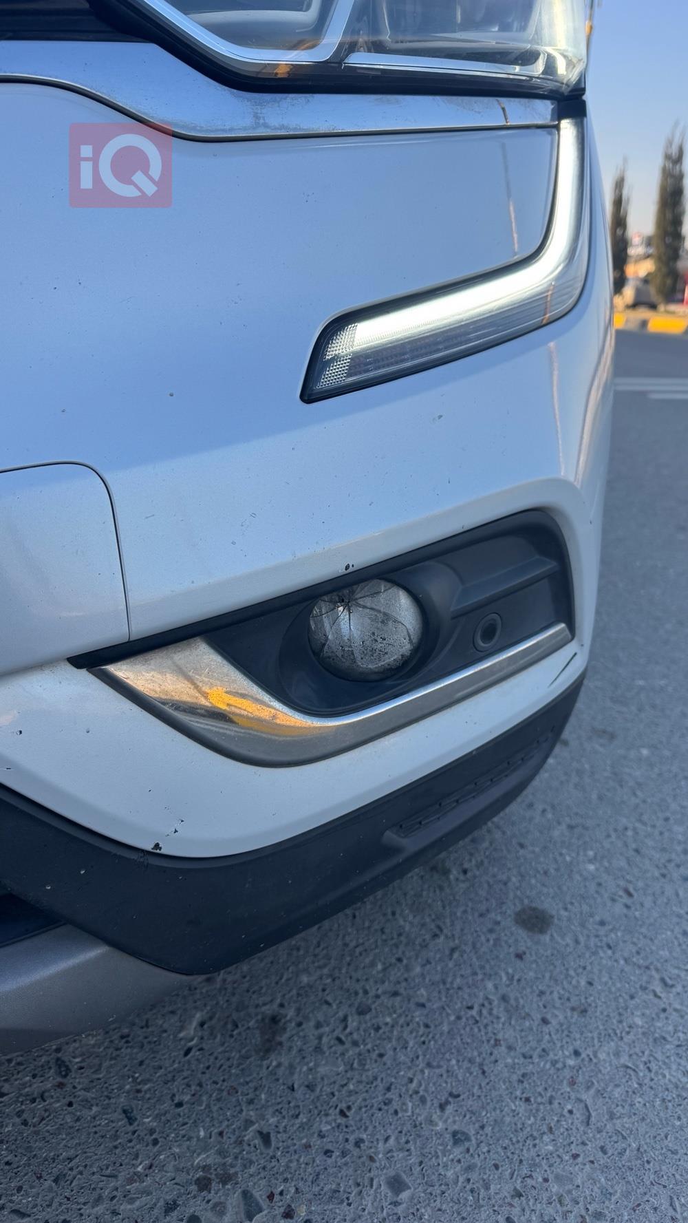 رينو كوليوس